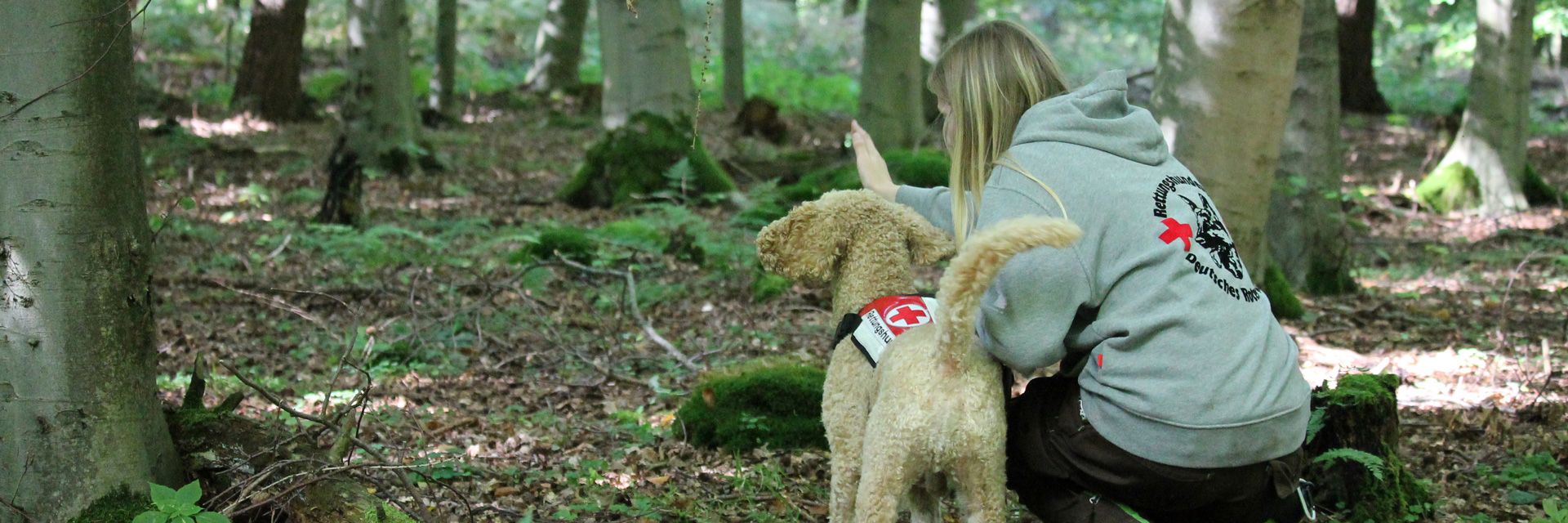Foto: Ein DRK-Rettungshund blickt wachsam in eine bestimmte Richtung. Neben ihm liegen Rotkreuzhelme und weitere Rettungsutensilien.